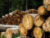 Kokmateriālu iegāde PVN deklarācijā