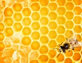 Plānoti grozījumi Darba likumā