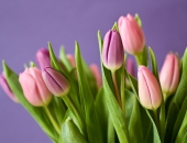 Noskaidrota pavasara pārvērtību dalībniece