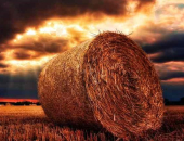 Lauksaimniekiem noteikta atvieglota kārtība marķētās dīzeļdegvielas iegādei