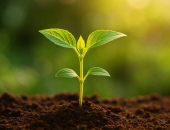 Noteiktiem uzņēmumiem atliks ilgtspējas ziņošanas prasību ieviešanu