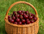 Atceļ muitas tarifu atvieglojumus Moldovas augļiem