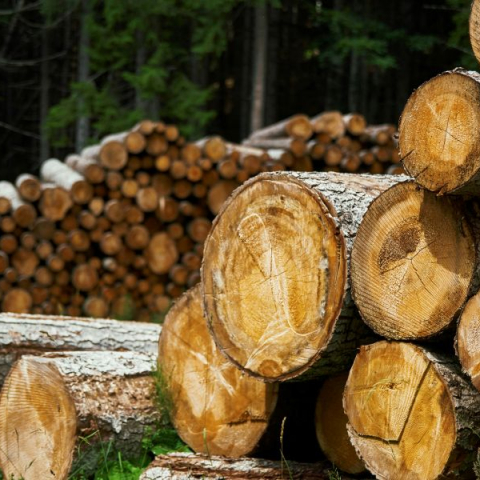 Valsts ieņēmumu dienests 