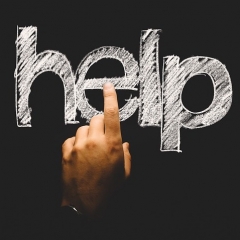 Valsts ieņēmumu dienests