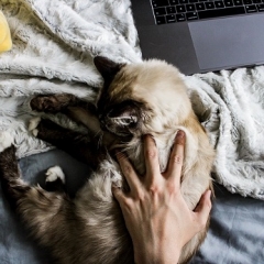 SIA ''Excellent Latvia''