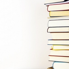 Valsts ieņēmumu dienests