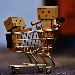 Valsts ieņēmumu dienests 