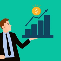 Valsts ieņēmumu dienests 