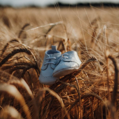 Valsts ieņēmumu dienests 