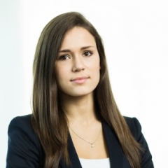 Ieskats  Komerclikuma grozījumos