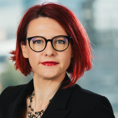 Risku noteikšana ilgtspējas pārskatos