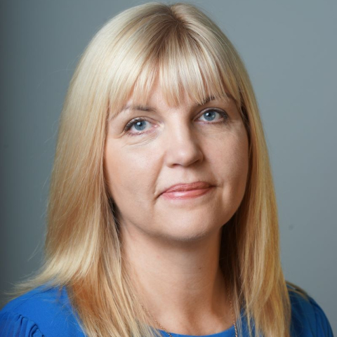 Skaidrojums par jaunajām robežvērtībām gada pārskatu likumā