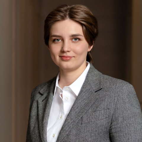 Kad savstarpējās saskaņošanas procedūra labo VID kļūdas