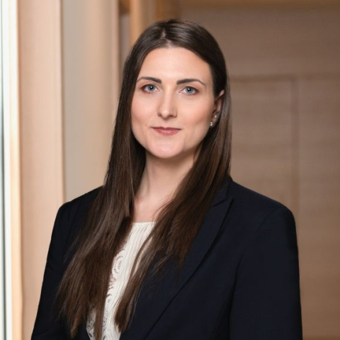 Nodokļa atbrīvojums, zaudējot preces nepārvaramas varas rezultātā