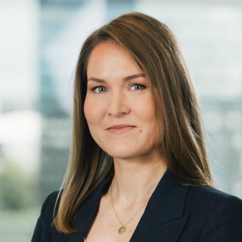 Grupu ieņēmumi un ienākuma nodokļi kļūst publiski