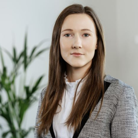 Pastāvīgās pārstāvniecības noteikšanas kritēriji grupas ietvaros